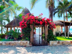 5 PALAPA